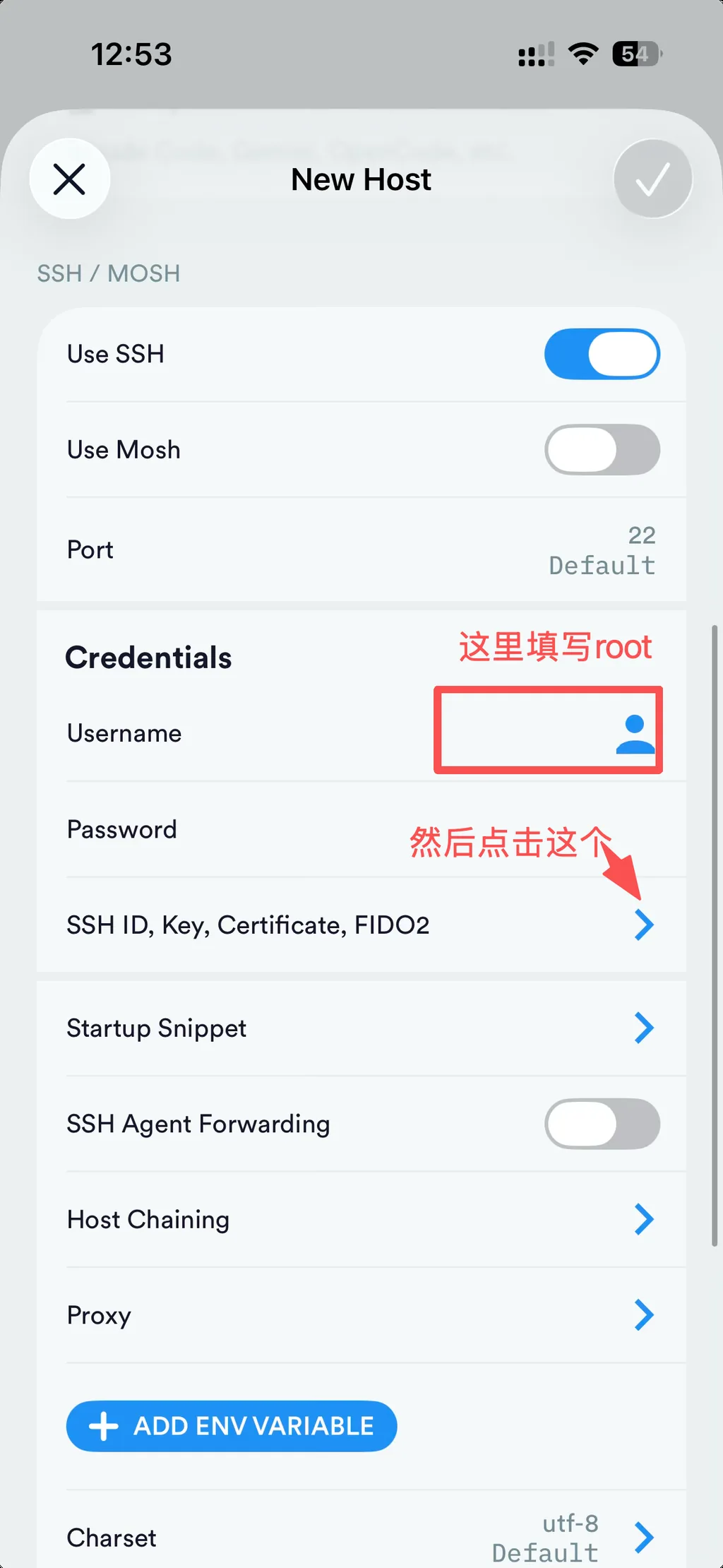 Termius 填 root + 点 SSH Key