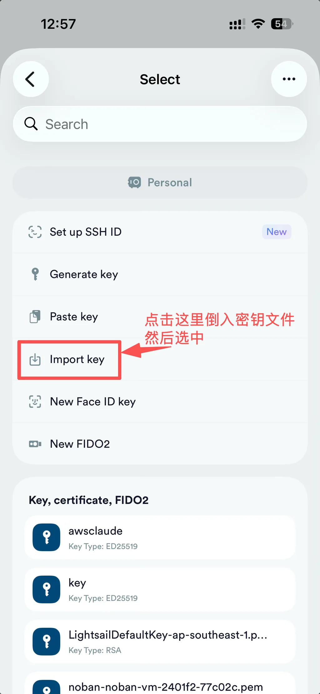Termius Import key 导入密钥